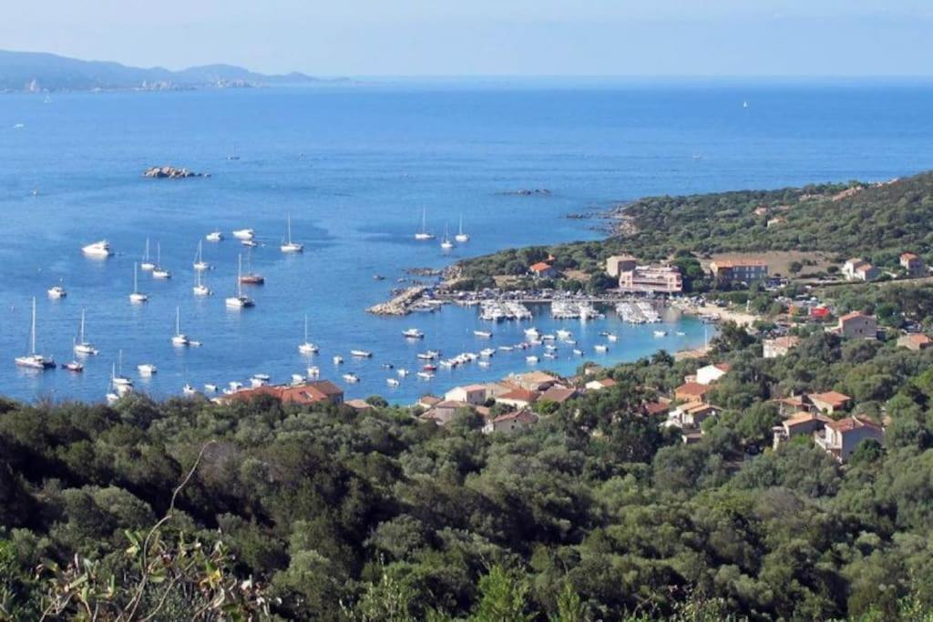 T2 D'Exception 100M Plage Terrasse Vue Mer Et Montagnes Propriano  Exteriör bild