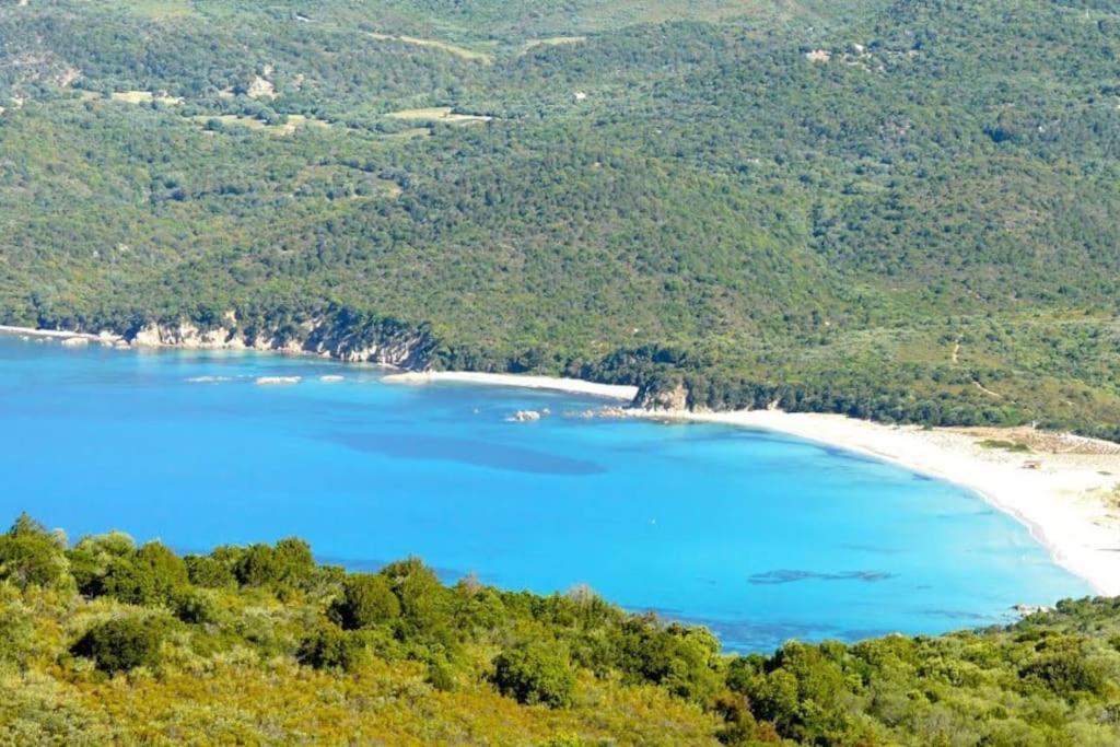 T2 D'Exception 100M Plage Terrasse Vue Mer Et Montagnes Propriano  Exteriör bild